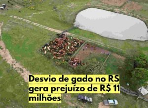 desvio-gado-rs-operacao-policial