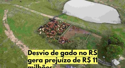 desvio-gado-rs-operacao-policial