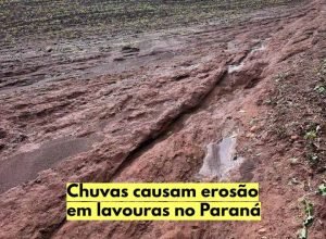Informações e imagens: Rádio Web Conecta