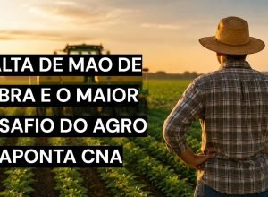 Escassez de mão de obra é desafio para produtores rurais brasileiros