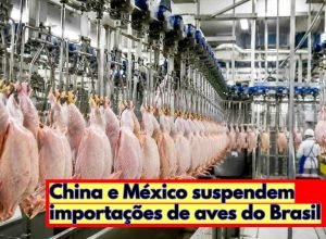 exportacao-carne-frango-brasil