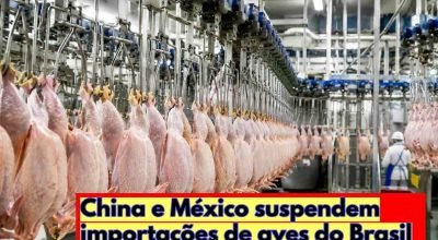 exportacao-carne-frango-brasil