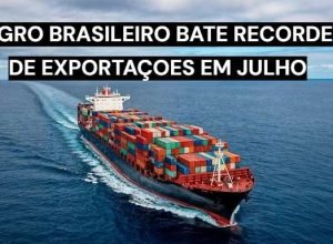 Exportações do agronegócio brasileiro batem recorde em julho
