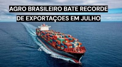Exportações do agronegócio brasileiro batem recorde em julho