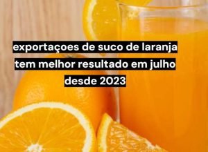 Exportações de suco de laranja avançam no início da temporada 2026/27
