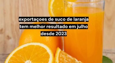 Exportações de suco de laranja avançam no início da temporada 2026/27