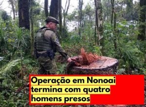 extracao-ilegal-madeira-nonoai