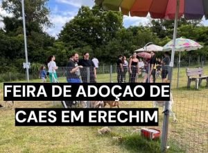Cães resgatados aguardam adoção durante feira em Erechim