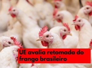 frango-brasil-uniao-europeia