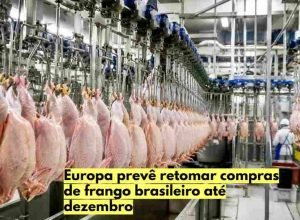 frango-brasileiro-exportacao-europa