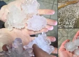 granizo-gigante-papanduva-escola.jpg