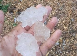 Granizo e vento forte atingem comunidades do interior de Princesa, em Santa Catarina