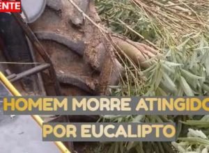homem-morre-atingido-arvore-santo-antonio-da-patrulha.jpg