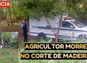 homem-morre-atingido-por-arvore-abelardo-luz.jpg