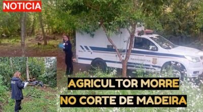 homem-morre-atingido-por-arvore-abelardo-luz.jpg
