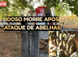 idoso-morre-ataque-abelhas-goias.jpg