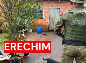 Fiscalização apura denúncias de maus-tratos contra cães em Erechim