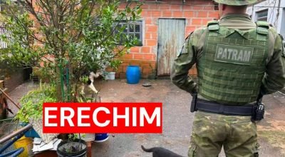 Fiscalização apura denúncias de maus-tratos contra cães em Erechim