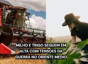 Milho e trigo sobem em Chicago em meio à tensão no Mar Negro
