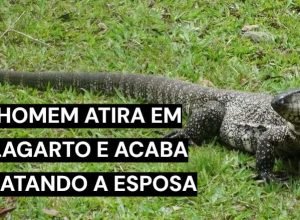 Foto Divulgaçao