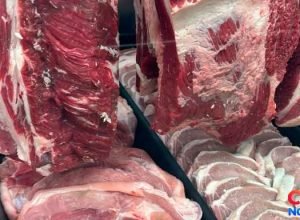 noruega-bloqueio-carnes-brasileiras.jpg