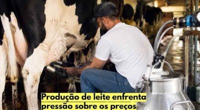 producao-leite-pressao-precos-mercado