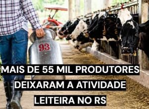 Produtor trabalhando na atividade leiteira em propriedade rural
