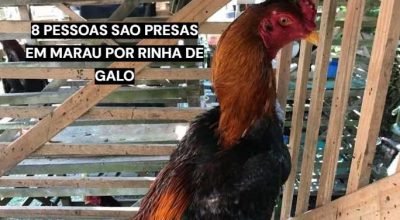rinha-de-galos-marau-oito-homens-presos.jpg