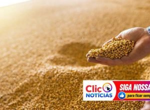 Safra de grãos 2025/26 deve alcançar 360,8 milhões de toneladas, segundo a Conab