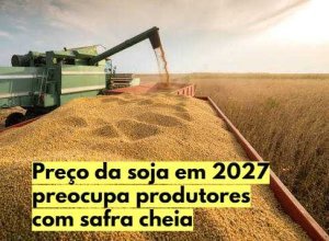 lavoura de soja em desenvolvimento representa a expectativa de uma grande safra em 2026/27.