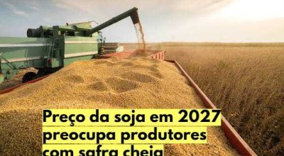 lavoura de soja em desenvolvimento representa a expectativa de uma grande safra em 2026/27.