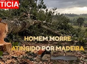 trabalhador-morre-atingido-por-arvore-reserva.jpg