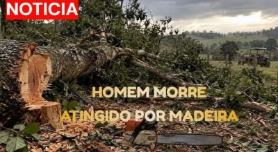 trabalhador-morre-atingido-por-arvore-reserva.jpg